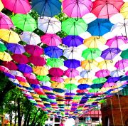 Multi-Colored Umbrellas